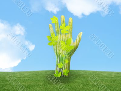 ecology concept