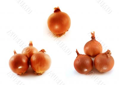 onion
