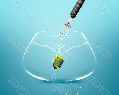 Fork catch angelfish in fishbowl 