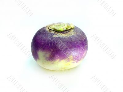 purple headed turnips on white background 