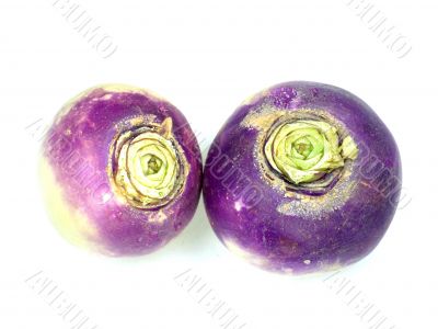 purple headed turnips