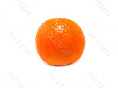 Fresh Clementine