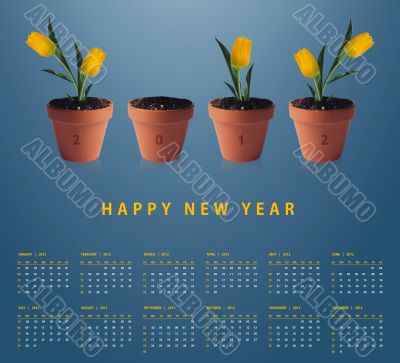 New year 2012 Calendar