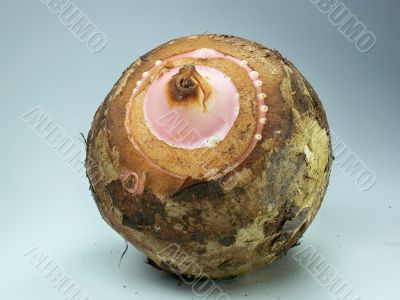 Taro Root 
