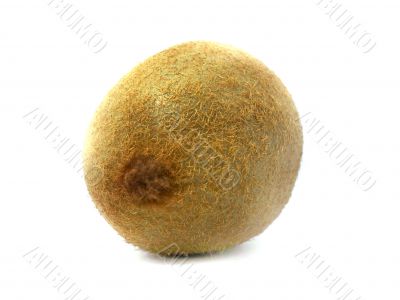 Fresh kiwi 