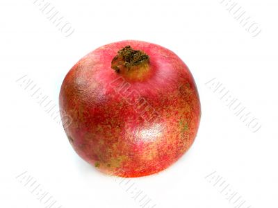 pomegranate 