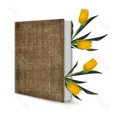 Front view of book