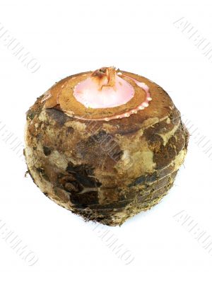 Taro Root Vegetable