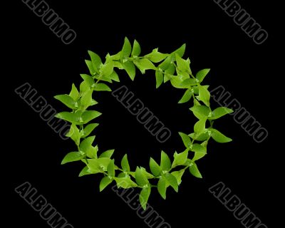 Wreath from Green leaves