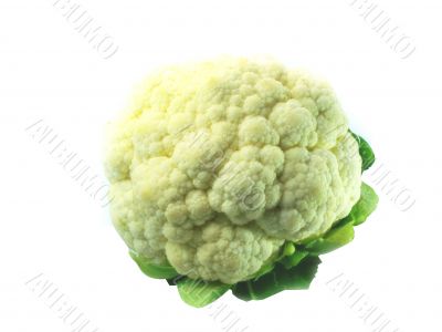 Cauliflower
