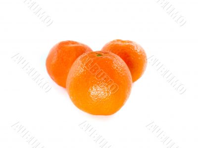 Fresh Orange