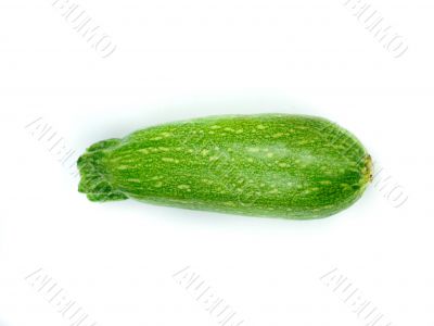 fresh zucchini