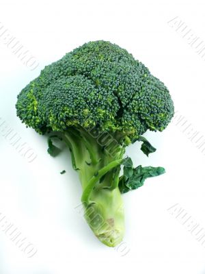 broccoli