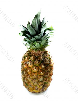 Fresh pineapple