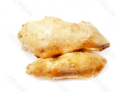 Gingers in flavoring cooking 