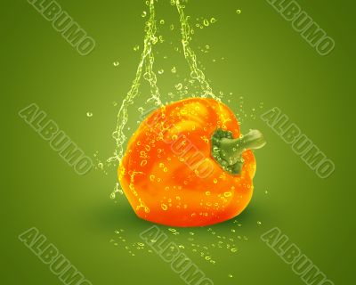 Fresh orange bell pepper