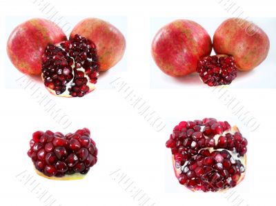 pomegranate 