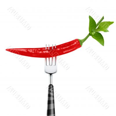 red hot chili pepper