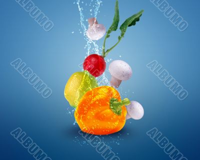 Fresh vegetables