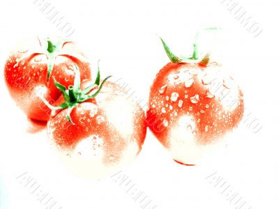 Fresh Red tomatoes