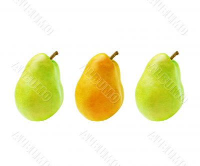 fresh pear 