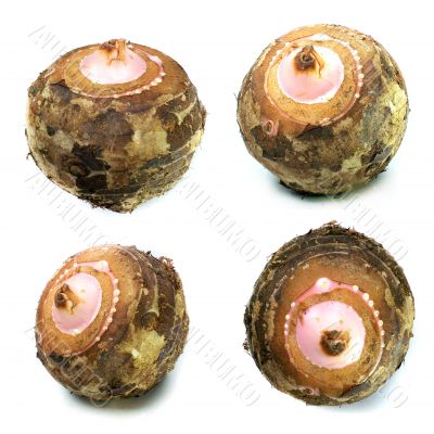 Taro Root Vegetable