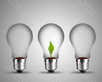 light bulb concept