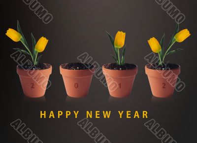 Happy new year 2012