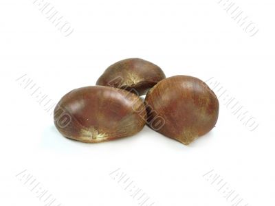 chestnuts 