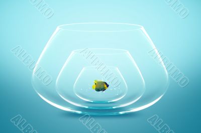 fish bowl