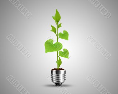 light bulb concept