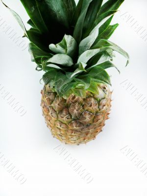 Fresh pineapple 
