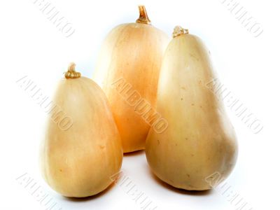 butternut squash