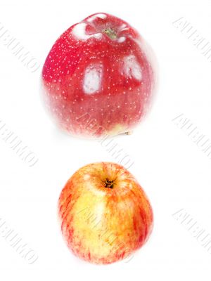 red apple