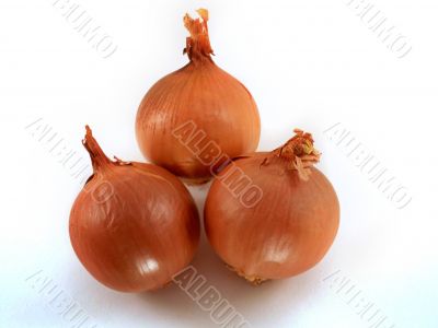 Fresh bulbs of orange 