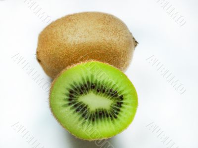 kiwi fruit on white background 