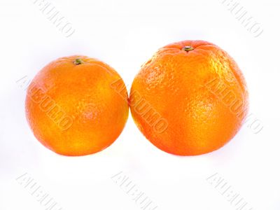 Fresh Orange