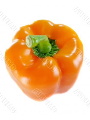 Orange bell pepper 