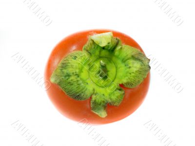 Persimmon