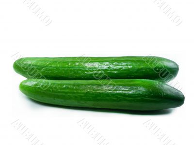 Fresh Cucumber