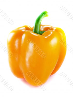 Orange bell pepper 