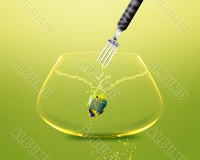 Fork catch angelfish in fishbowl 