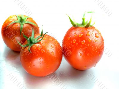 Red tomatoes