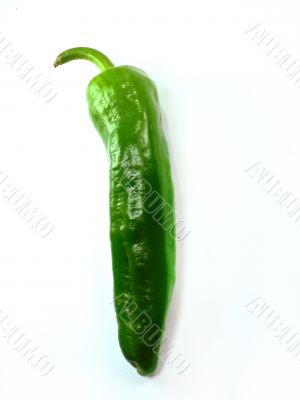 green pepper