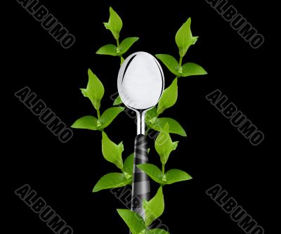 green leaves around spoon 