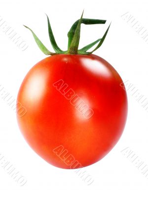 Fresh Red tomatoes