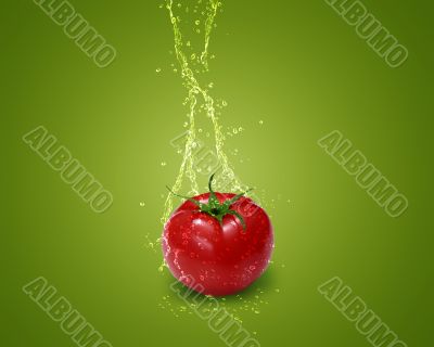Fresh red tomato