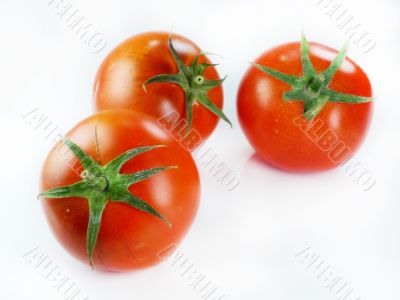 Red tomatoes