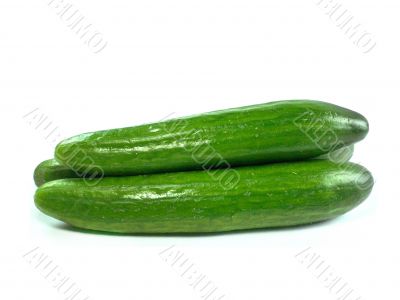 Fresh Cucumber