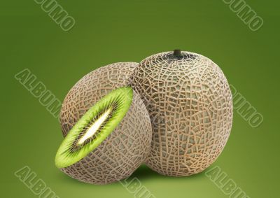 Melon and kiwi inside